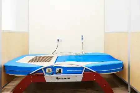 Сосновый бор - 4