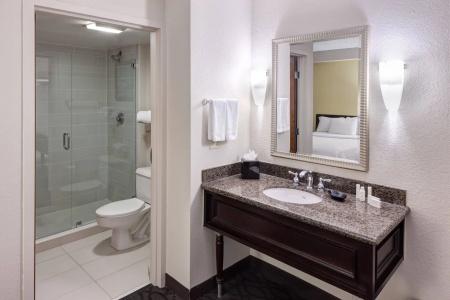 SpringHill Suites by Marriott Dallas Downtown / West End - 31