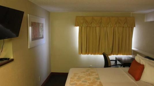 Hawthorn Suites East - 96