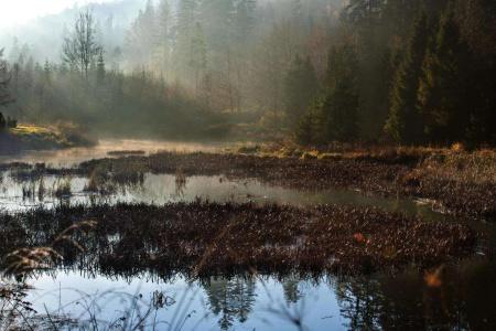 Vislow Resort - 25
