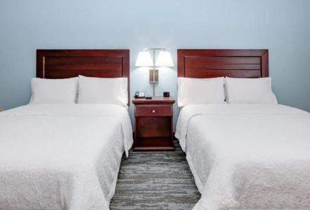 Hampton Inn & Suites Dallas-Arlington-South - 38
