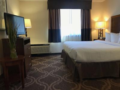 Ashmore Inn and Suites - 29