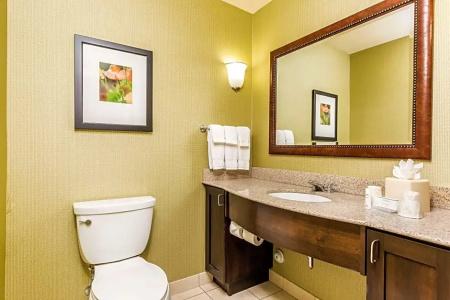 Hilton Garden Inn - 62