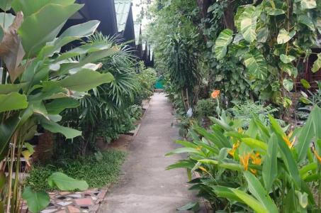 Sea Garden Resort & Spa, Haadrin - 14
