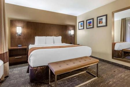 Comfort Suites At Sabino Canyon - 43