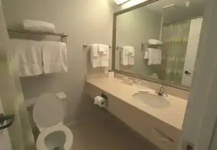 Springhill Suites Houston Medical Center / Nrg Park - 22