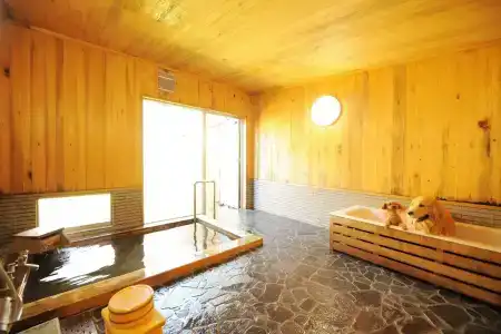Izumigo Takayama Dog Paradise - 6