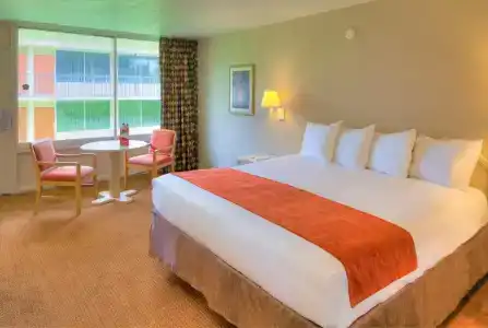 Ramada by Wyndham Kissimmee Gateway - 27