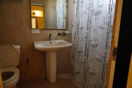 The Bouvice - 26