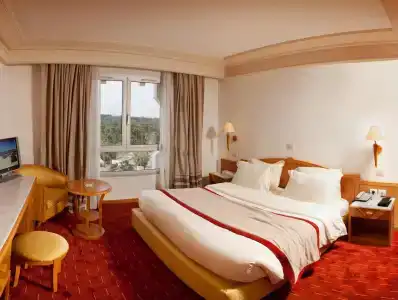 Golden Tulip El Mechtel - 47