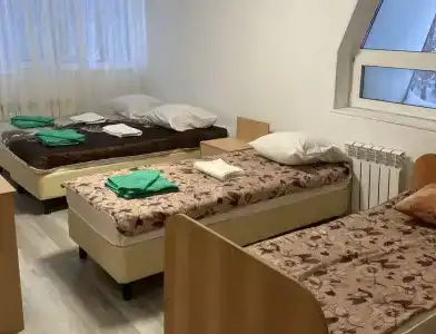 Сосновый бор - 4