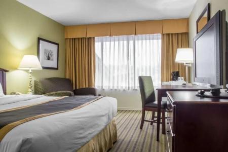 Quality Inn - 40