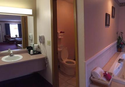 La Quinta by Wyndham Branson - 24