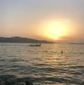 denizyıldızı - 11