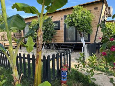 Gaia Tiny Houses Butik - 53