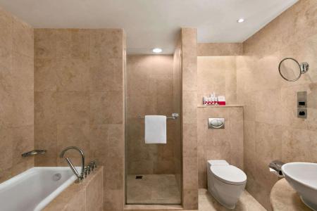 Ramada Plaza by Wyndham Dubai Deira - 17