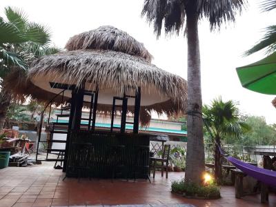 Palm Sweet - 17