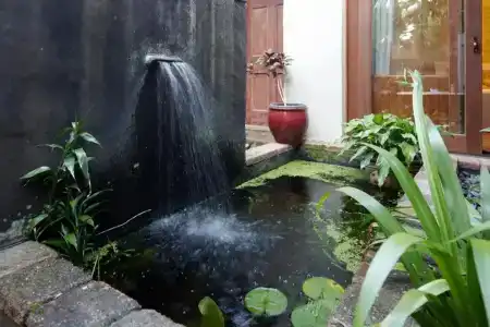 Garden Burees - 75