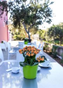 Miss Sicily B&B - 24