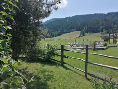 Almdorf Almlust - 220