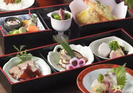 Oriental Hiroshima - 11