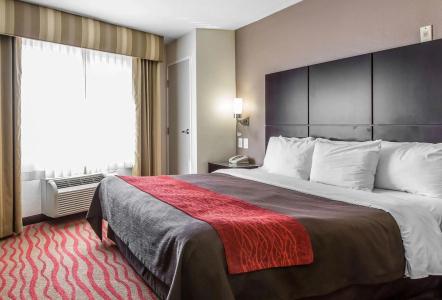 Comfort Inn Los Angeles near Hollywood - 2