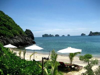 Cat Ba Green - 15