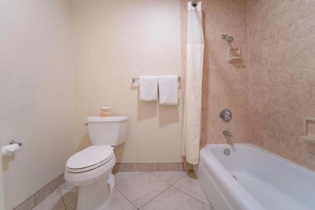 Royal Plaza Inn - 91