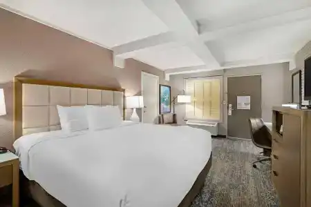 Best Western Savannah Historic District - 4