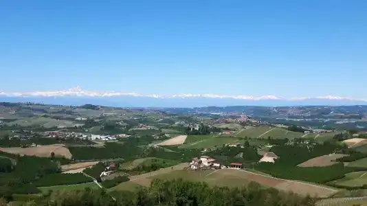 b&b Villa Bellavista Alba - 80