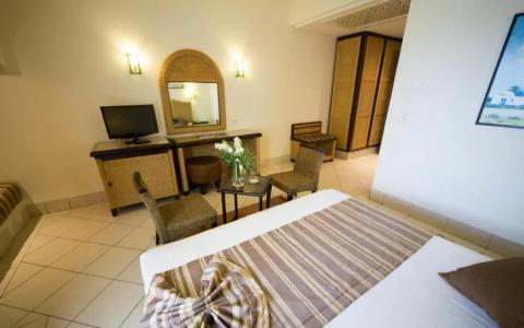Green Palm - 21