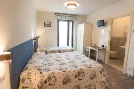 Rosa di Assisi - 96
