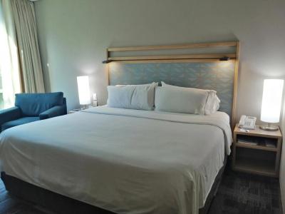 Holiday Inn Express Mexico Reforma - 4