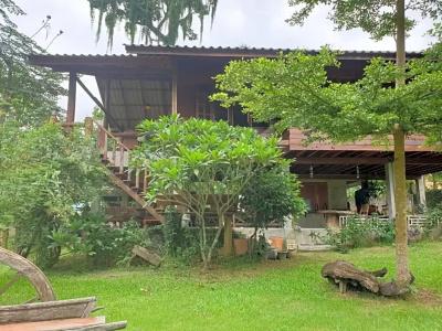 Chiang Dao Hut - 84
