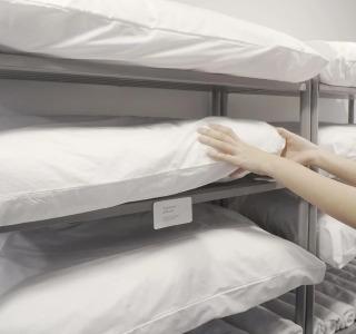 Chocolate box mint - 0