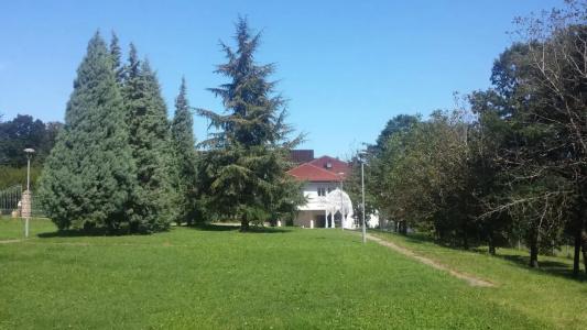 Radmilovac - 13