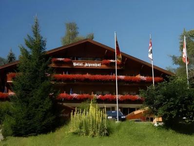 Alpenhof - 25