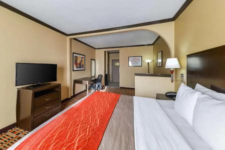 Quality Inn & Suites - 52