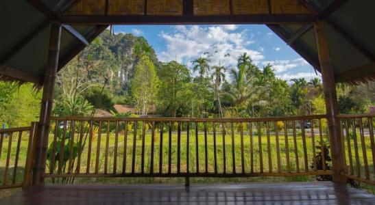 Our Jungle Camp - Eco Resort Sha Certified - 69