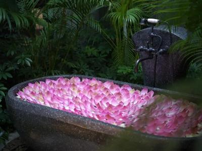Shinta Mani Angkor & Bensley Collection Pool Villas - 186