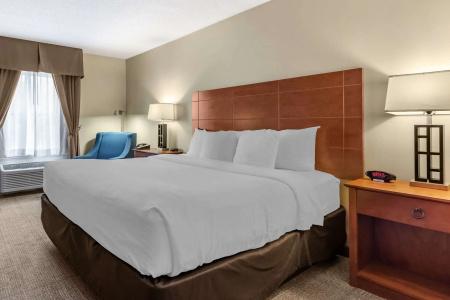 Comfort Inn Civic Center - 37