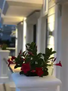 Poda Boutique Ksamil - 8