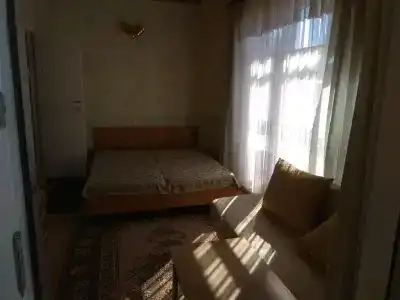 Подсолнухи - 50