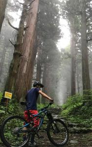 Nozawa View Shimataya - 33