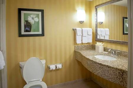 Hilton Garden Inn Airport/Medical Center - 53