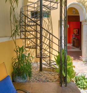 Casa Del Maya - 55