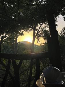 Sigiriya Rock Gate Resort - 98