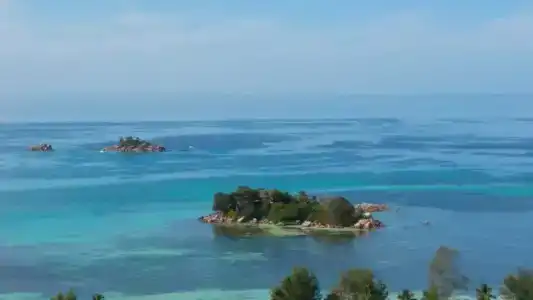 Mango Lodge - 59