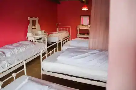 Ecomama - 2
