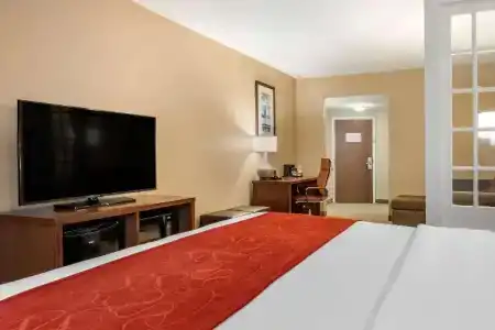 Comfort Suites Orlando Airport - 44
